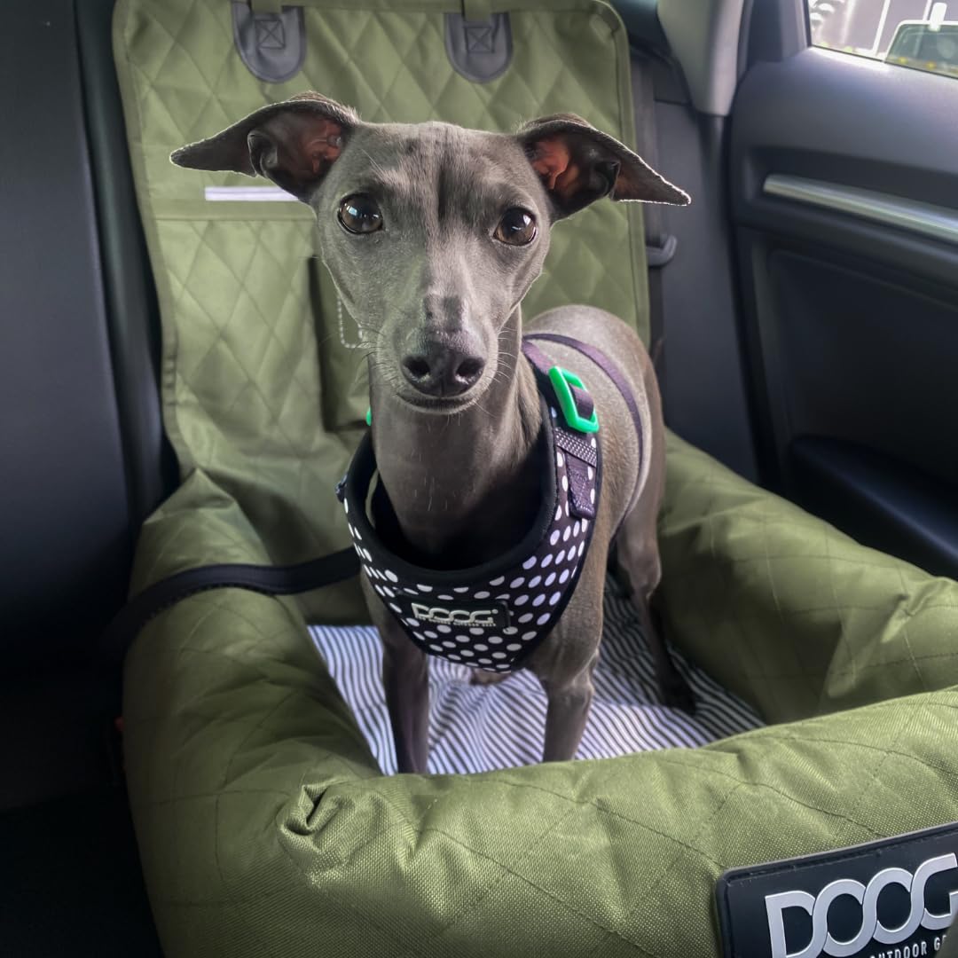 Hundesitz DOOG