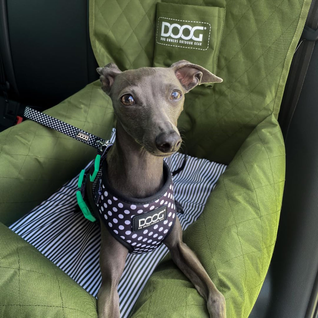 Hundesitz DOOG