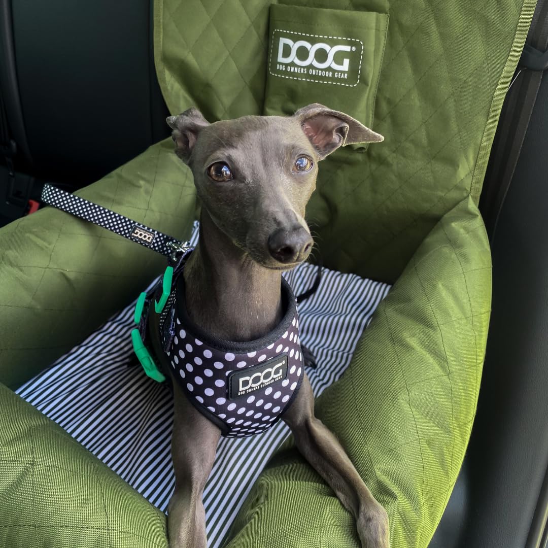 Hundesitz DOOG